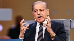 પાકિસ્તાન મધ્યસ્થી, સિઝફાયર ભંગની ઘટનાઓ, શાંતિની અપીલ, અમેરિકા અને ઇરાન 