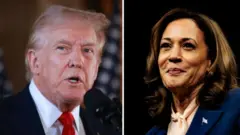 ትራምፕ (ጸጋም) - ካማላ ሃሪስ (የማን)