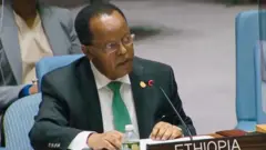 አምባሳደር ታዬ አጽቀ-ስላሴ