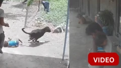 நாயிடம் இருந்து குழந்தையை காப்பாற்றும் தந்தை