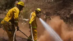 अग्नि नियन्त्रक