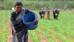 होर्मुझ सामुद्रधुनीच्या नाकेबंदीमुळे भारताच्या खत पुरवठ्यावर काय परिणाम होईल? युद्ध लांबल्यास काय होणार?