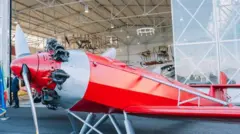 ናብ ኢትዮጵያ ዝተመለሰት ነፋሪት