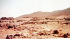 میدان بدر