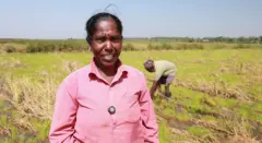 'வயலிலே முளைத்த நெற்கதிர்' - டெல்டா மாவட்டங்களில் என்ன பிரச்னை? பிபிசி தமிழ் கள ஆய்வு