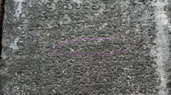 తెలంగాణ