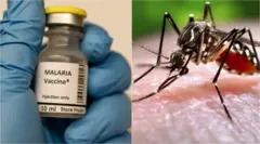 Ọgwụ mgbochi ọrịa ịba