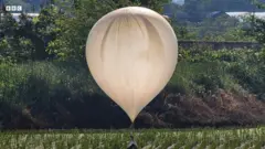 شمالی کوریا نے تقریباً 260 غبارے چھوڑے ہیں 