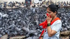 प्रातिनिधिक फोटो