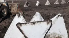 "Зуби дракона" мають на меті завадити росіянам прорвати кордон на Харківщині