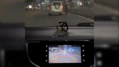 சென்னை: ஈசிஆர் சாலையில் பெண்களை காரில் துரத்திய இளைஞர்கள் யார்? காவல்துறை வெளியிட்ட தகவல்