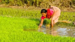प्रातिनिधिक फोटो