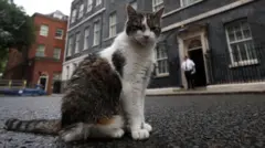 Larry, the Downing Street cat, sits on the street outside No. 10 ahead of the election in London, Britain, 03 July 202