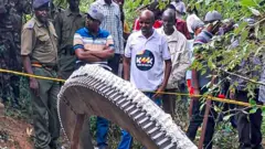 Une foule, y compris des policiers, derrière un ruban jaune, regarde un anneau métallique géant tombé de l'espace sur des terres agricoles à Mukuku, au Kenya. 