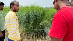 बिहार में गैंगरेप के बाद हत्या