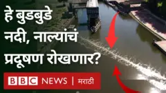 नदी-नाले 