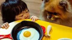 A young girl and her dog near a table with a fried egg in a pan
