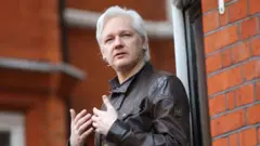 assange 