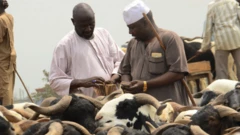 Pricing rams for di market