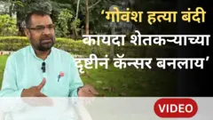 थंबनेल