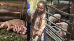 Ifoto ifatanyije mu buryo bw'ikoranabuhanga igaragaza Solange Mujawayezu yambaye imyenda ya khaki y'akazi, n'ibiraro bibiri birimo ingurube nyinshi, imwe irimo konkwa n'ibibwana byayo. Solange ahagaze areba muri 'camera', yambaye umwambaro wo mu ntoki wabugenewe (gants/gloves), acuritse icupa afatiye hejuru ririmo igisukika.