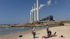 হাডেরা বিদ্যুৎকেন্দ্রের কাছাকাছি হাঙ্গরের হামলার ঘটনাটি ঘটেছে