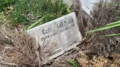 cem garipoglu mezar