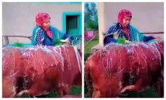 Haadha sa'a dhaletti dhibaafachaa jiran