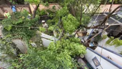 கோவை, தமிழ்நாடு, கனமழை, பருவமழை, மழை பாதிப்பு