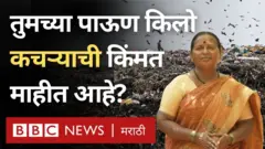 कचऱ्याची किंमत