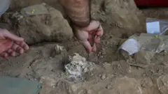 બીબીસી ગુજરાતી, ગુજરાત, અમદાવાદ, ઇતિહાસ, માનવ ઇતિહાસ, 