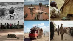 Sawirradii macaluusha