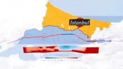 marmara fay hattı haritası