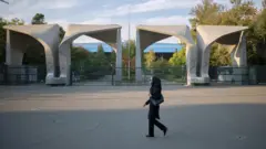 یک زن در پیاده‌روی جلوی سردر دانشگاه تهران