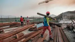 የህዳሴ ግድብ ሰራተኛ እንጨት ተሸክሞ