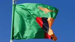 Zambian Flag