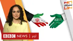 سیربین