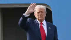 Aworan Aarẹ orilẹede Amẹrika, Donald Trump