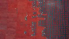 BBC調查發現，涉嫌在中國新疆強迫勞動下生產的番茄，很可能流入歐洲各地的超市。