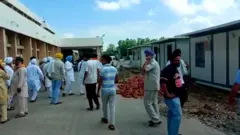 ਕੈਥਲ