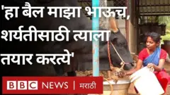 पोंगल, जल्लिकट्टू
