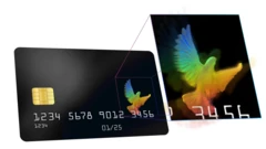 Vista de um cartão de crédito preto com uma ave holográfica, usada para ajudar a evitar fraudes