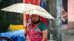 વરસાદ (ફાઇટ ફોટો)