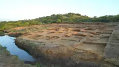 సింధు నాగరికత