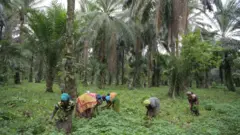 Abagore bari mu murima