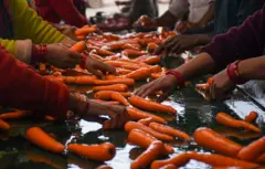 கர்நாடகா கேரட்டை 'பாலிஷ்' செய்து ஊட்டி கேரட் என விற்பதாக புகார் - நீலகிரி விவசாயிகளுக்கு என்ன பாதிப்பு?