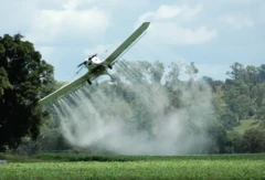 Avião borrifando pesticidas sobre uma plantação