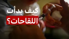 لقاح