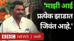 अभिनेते सयाजी शिंदे यांनी यंदाची शिवजयंती वृक्षारोपण करून साजरी केली.