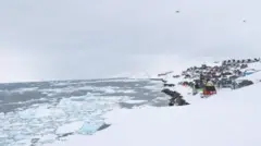 Vista da cidade velha de Nuuk, na Groenlândia, com casas de madeira coloridas rodeadas pela neve e pelo gelo